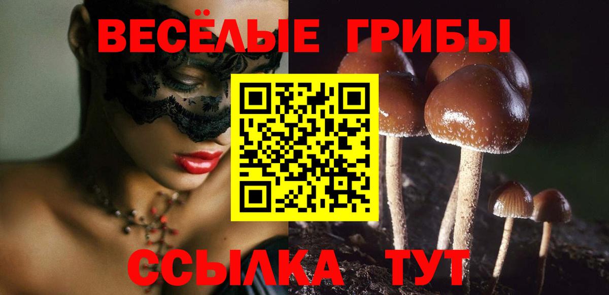 Псилоцибиновые грибы прущие грибы  Вход с VPN  Алексин 